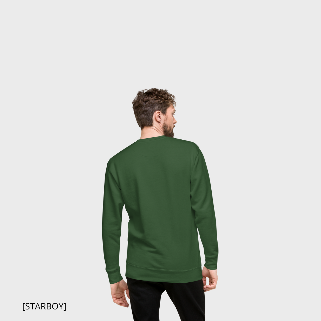 FLARE [STARBOY] (green) sweatshirt (men)