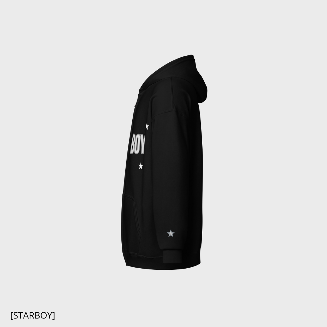 FLARE [STARBOY] (black/grey) zip-hoodie (men)