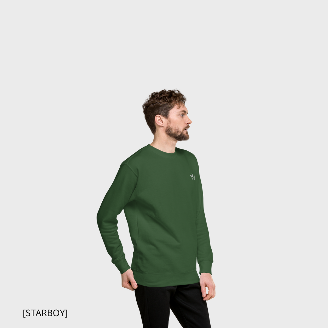 FLARE [STARBOY] (green) sweatshirt (men)