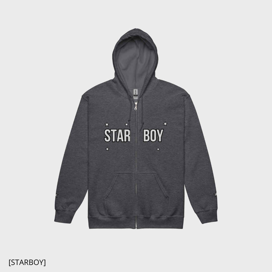 FLARE [STARBOY] (black/grey) zip-hoodie (men)